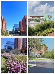 巨头环伺！这地儿商务合作一步到位 - 缩略图 1