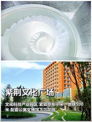 近地铁500米，面积翻倍还带文化配套 - 缩略图 1