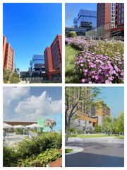 亦庄文化科技园如何激活创新生态？ - 缩略图 1