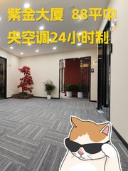 紫金大厦 9层现房 88平 - 缩略图 1