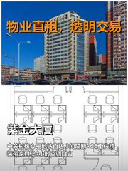 真房｜紫金大厦｜175平｜1万｜这通勤谁不迷糊 - 缩略图 1