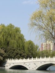 红领巾公园3500㎡独栋 本月底前签约 免租期可谈 - 缩略图 17