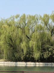 红领巾公园3500㎡独栋 本月底前签约 免租期可谈 - 缩略图 19