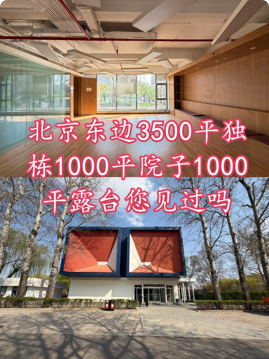 🌿公园独栋露台，我的静谧工作天地