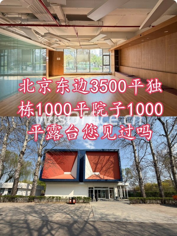 🌿公园独栋露台，我的静谧工作天地 - 首图