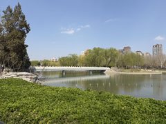 红领巾公园独栋 3500㎡ 4层高 观湖视野 - 缩略图 34