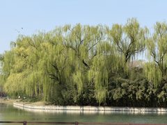 红领巾公园独栋 3500㎡ 4层高 观湖视野 - 缩略图 37