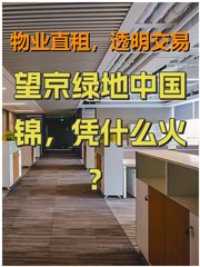 望京绿地中国锦，凭什么火？ - 缩略图 1