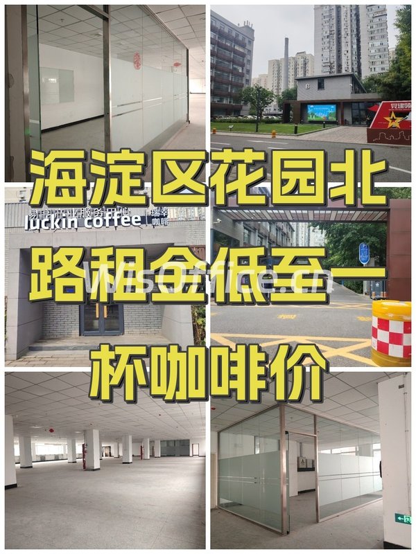 海淀区花园北路租金低至一杯咖啡价 - 首图