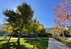 老板必看！环贸中心305㎡地铁上盖办公 - 缩略图 3