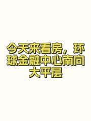 今天来看房，环球金融中心南向大平层 - 缩略图 1