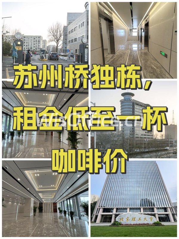 苏州桥独栋，租金低至一杯咖啡价 - 首图