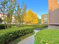 电信实业大厦 海淀区 精装修现房 - 缩略图 8