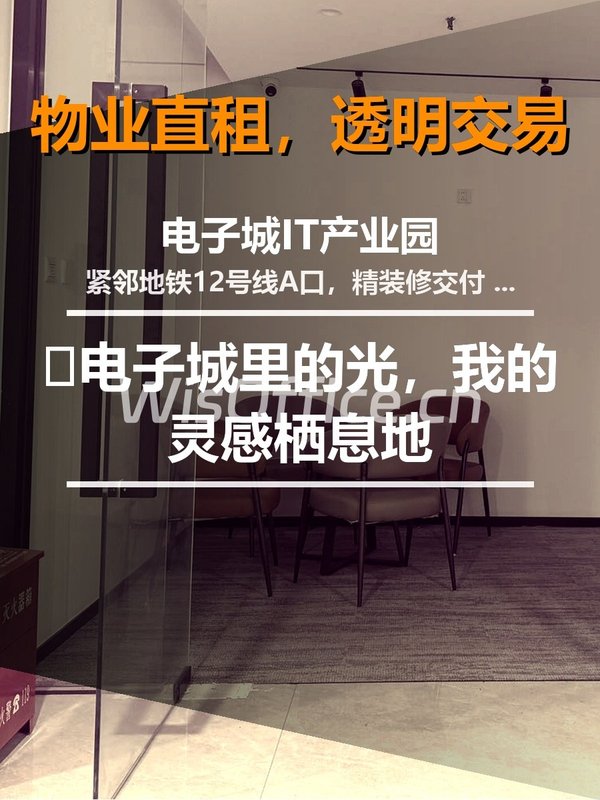 🌿电子城里的光，我的灵感栖息地 - 首图