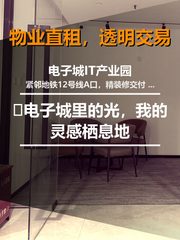 🌿电子城里的光，我的灵感栖息地 - 缩略图 1