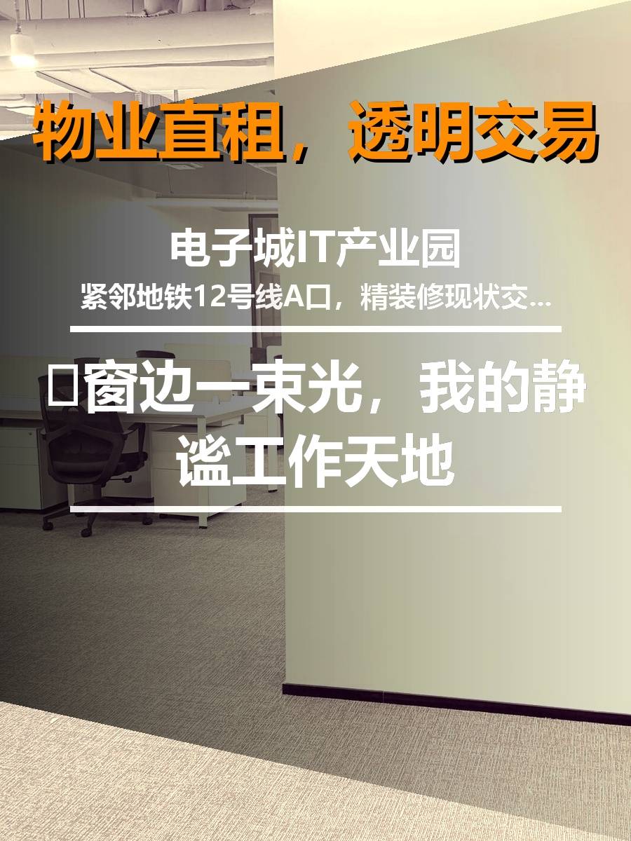 电子城IT产业园