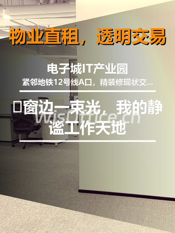 🌿窗边一束光，我的静谧工作天地 - 首图