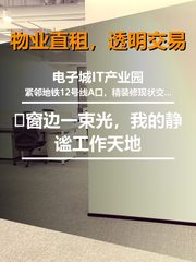 🌿窗边一束光，我的静谧工作天地 - 缩略图 1