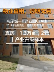 真房｜电子城C2A楼｜1.3万㎡｜2元｜产业升级样本 - 缩略图 1
