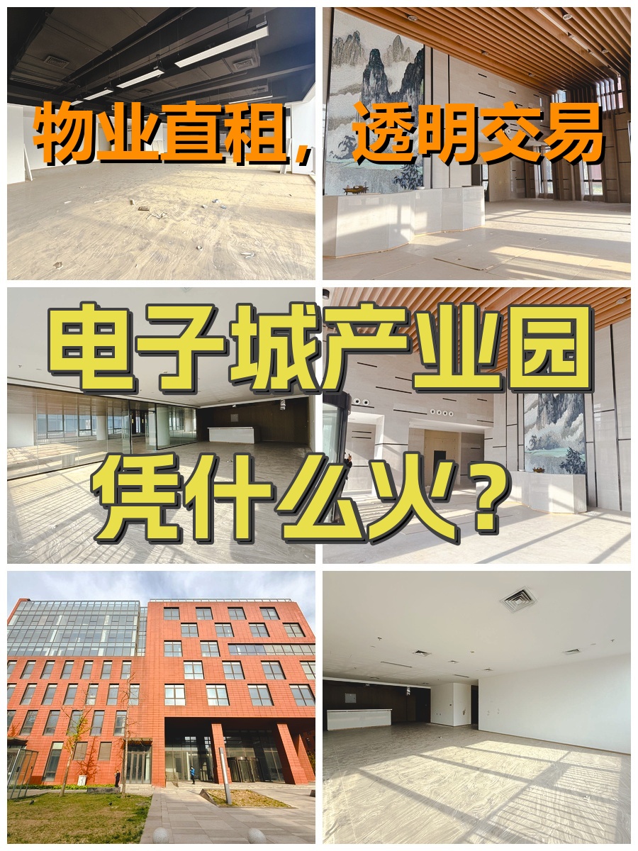 电子城产业园凭什么火？