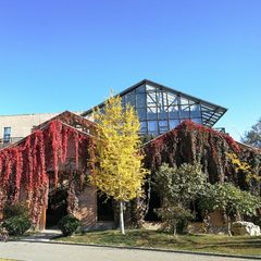 酒仙桥现房 电通创意广场3740平 双地铁 带屋顶花园 - 缩略图 2