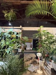 独栋复式280平 全景落地窗 百子湾 - 缩略图 6