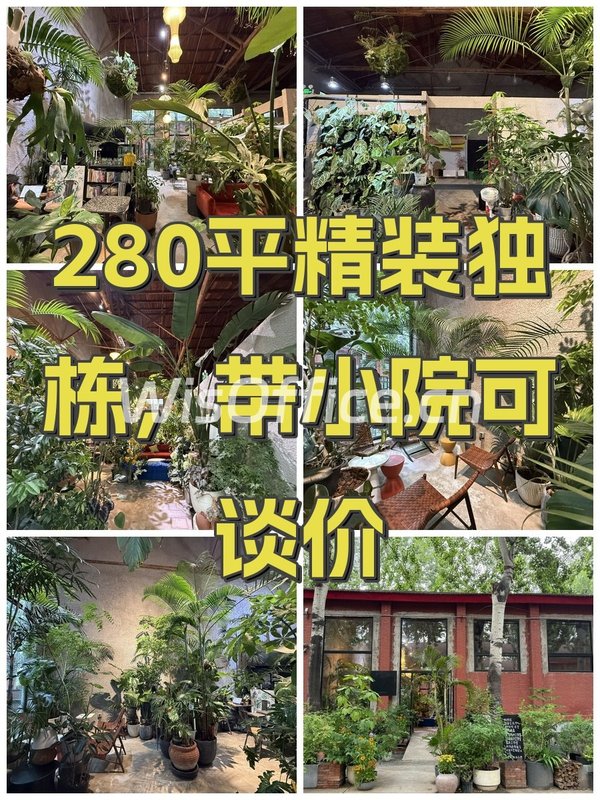 280平精装独栋，带小院可谈价 - 首图
