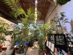 百子湾独栋280平 双层小院 全新装修 - 缩略图 28