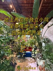 280平独栋办公，价格可谈，文创新地标 - 缩略图 1