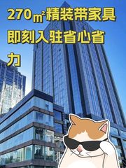 270㎡精装带家具 即刻入驻省心省力 - 缩略图 1