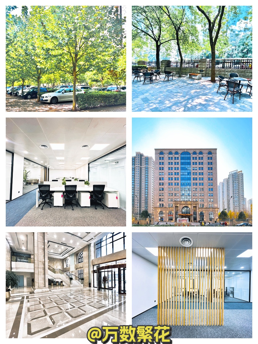 双井现房 331平 5隔断带家具