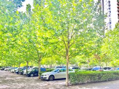 1500㎡带露台 办公空间 - 缩略图 5