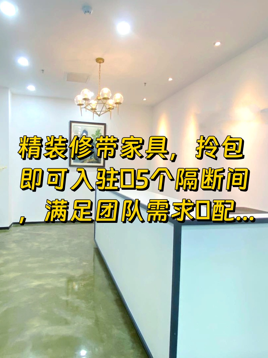 百花KASO 464平 西向采光 带家具