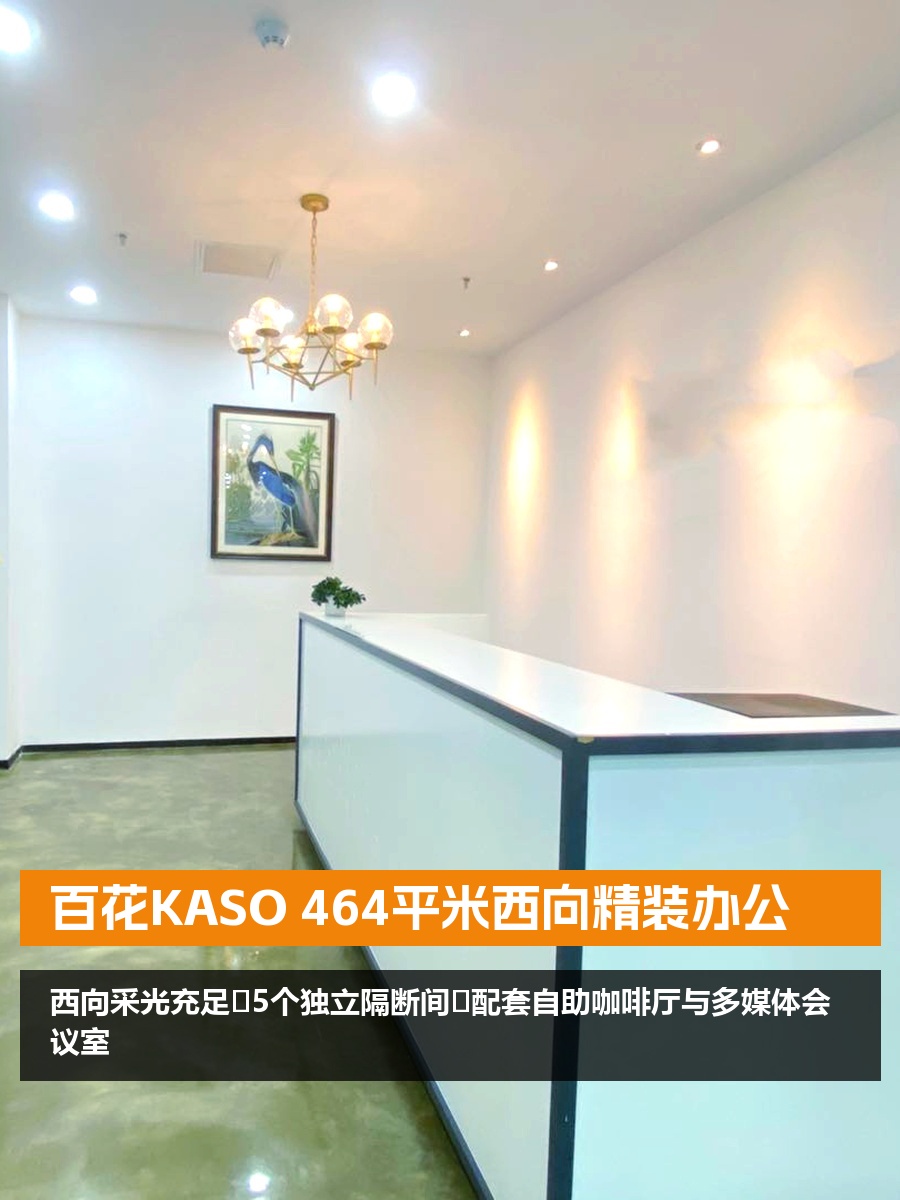 百花KASO 464平米西向精装办公