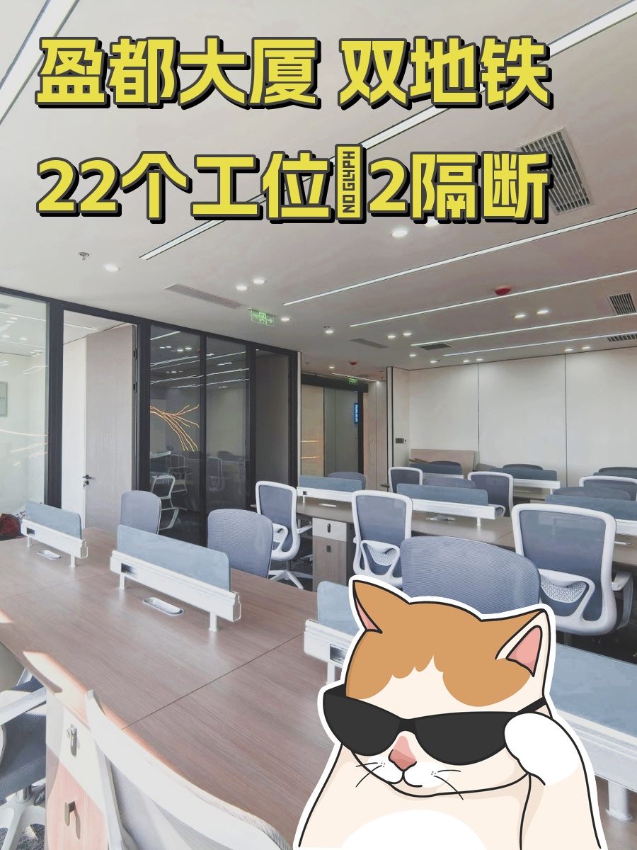 盈都大厦 双地铁 精装修