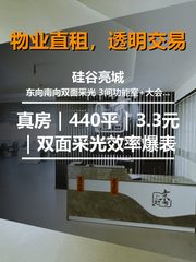 真房｜硅谷亮城 |440平｜3.3元｜双面采光效率爆表 - 缩略图 1