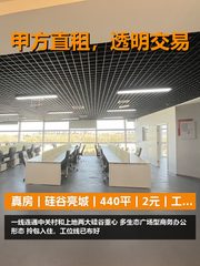 真房｜硅谷亮城｜440平｜2元｜工位能增到48 - 缩略图 1
