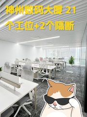 苏州街现房 神州数码大厦 东向工位 - 缩略图 1
