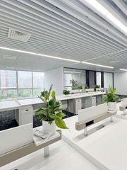 办公室选址中，我好喜欢落地窗 - 缩略图 11
