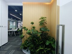 亦庄270平露台办公室 精装拎包 - 缩略图 9