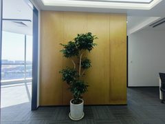 亦庄积木大厦 165平 精装 拎包入住 西向阳光 - 缩略图 19