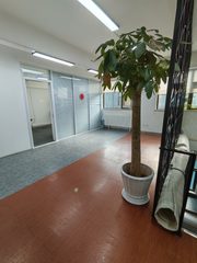 真房｜竞园 |248平｜创意空间 - 缩略图 9