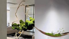 竞园345平精装空间，独门入户双向采光 - 缩略图 2