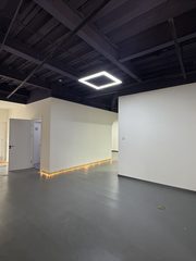 竞园380平独栋东北向展示面好 - 缩略图 4