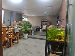 双桥这个独栋租金低至一杯奶茶价 - 缩略图 13