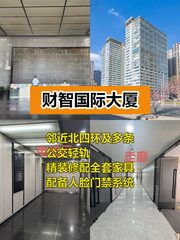 推荐财智国际大厦精装修南向 - 缩略图 1