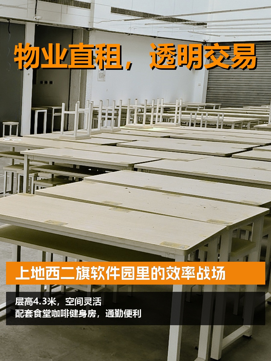 软件园里的效率战场