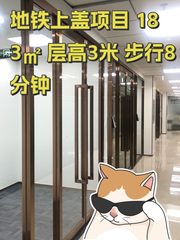 地铁上盖项目 183㎡ 层高3米 步行8分钟 - 缩略图 1