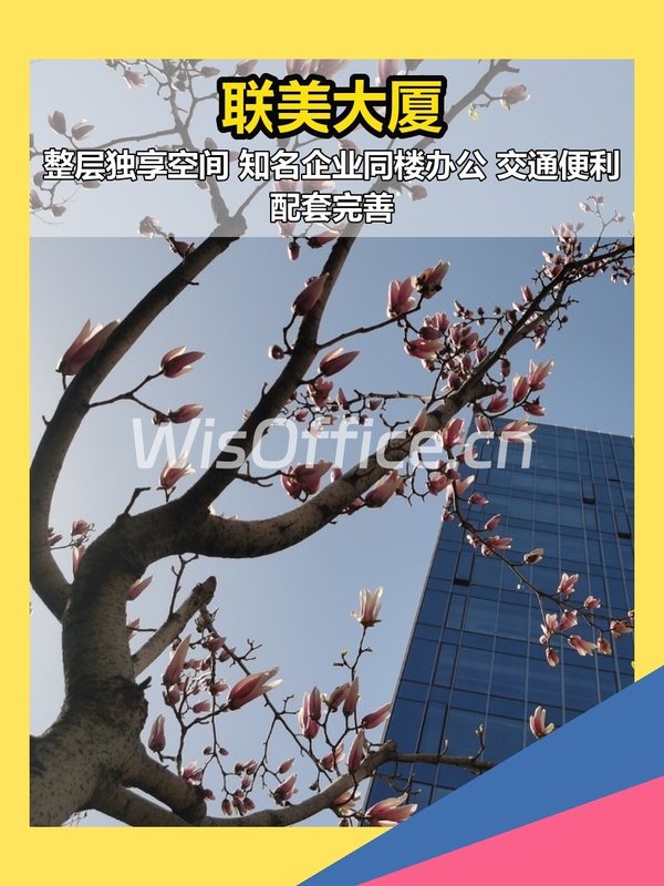 联美大厦612平整层办公 - 首图