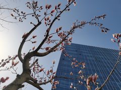 联美大厦 百子湾 核心办公 - 缩略图 2